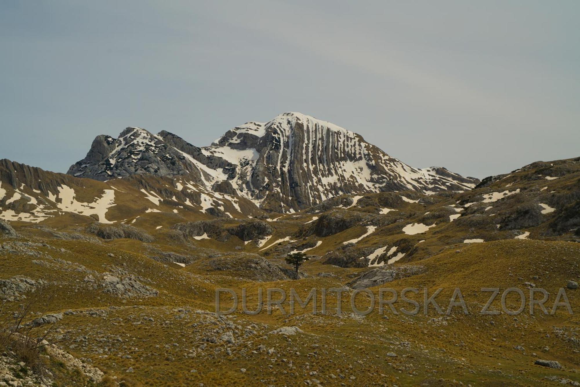 Durmitorska Zora Villa ชาเบลียค ภายนอก รูปภาพ